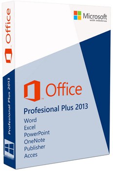 Microsoft office professional 2013